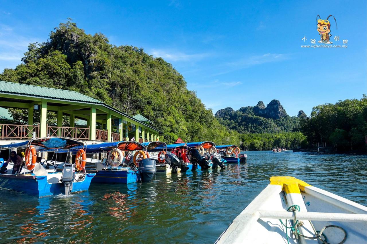 Jelajahi Ekosistem Mangrove Langkawi dengan Tur yang Menakjubkan